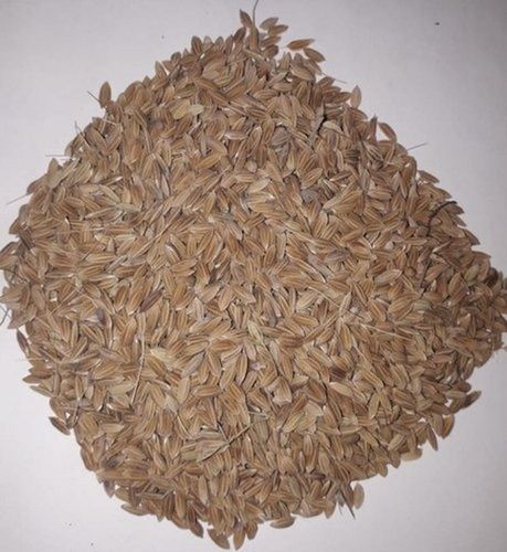  100% शुद्ध ऑर्गेनिक अत्यधिक पोषक तत्वों से भरपूर मध्यम अनाज वाला भूरा धान चावल