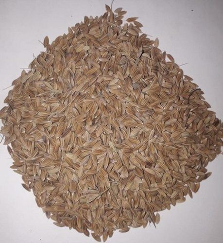 100% Pure Organic Highly Nutrient Enriched Medium-Grain Brown Paddy Rice Crop Year: 6 Months