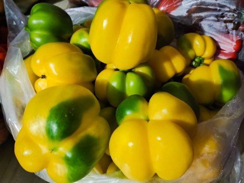 A Grade 100% Pure And Organic Fresh Rich Taste Farm Yellow Bell Pepper For Cooking
