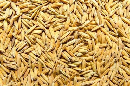 A-Grade Highly Nutrient Enriched 100% Pure Medium-Grain Brown Paddy Rice