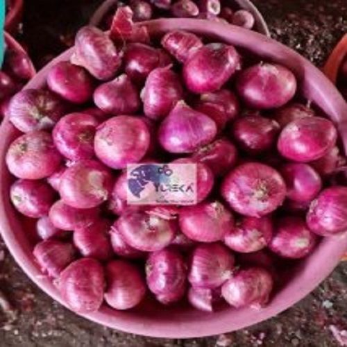 Pure Natural And Organic Round Fresh Red Onions For Cooking Use  Moisture (%): Dry