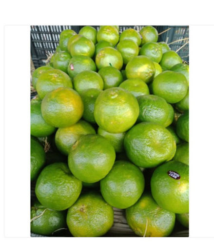 Green Small Size Orange Fruit With High Nutritious Value And Rich Taste