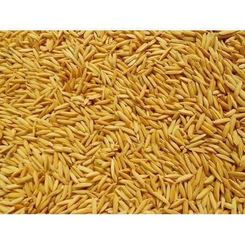 High Grade And Brown Dry Paddy Rice  Crop Year: 6 Months