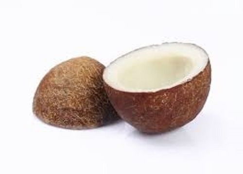 Brown Dried Matured Coconut