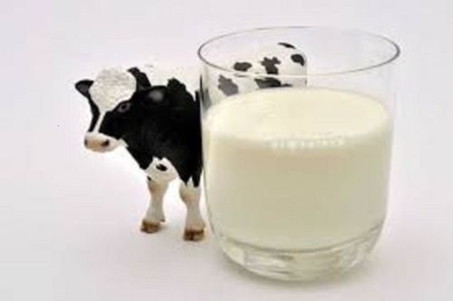 Healthy Pure And Natural Rich In Calcium Full Cream Adulteration Free Tasty Cow Milk Age Group: Adults