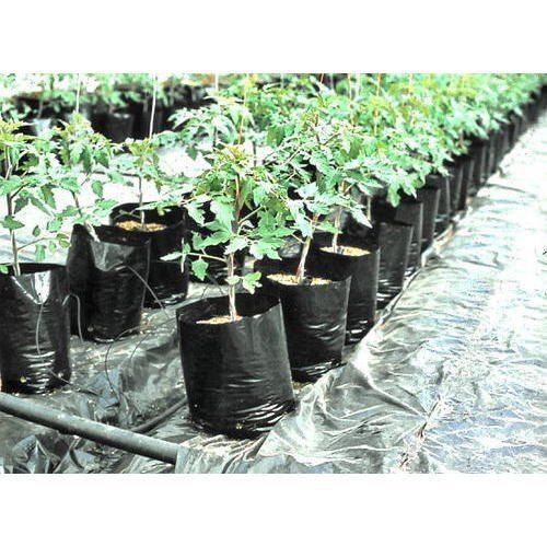 Water Proof And Moist Resistant Rectangular Black Mini Planter Bag