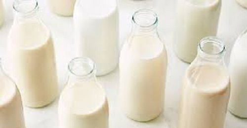 100 Percent Natural Healthy And Nutritious Delicious Taste White Cow Milk 