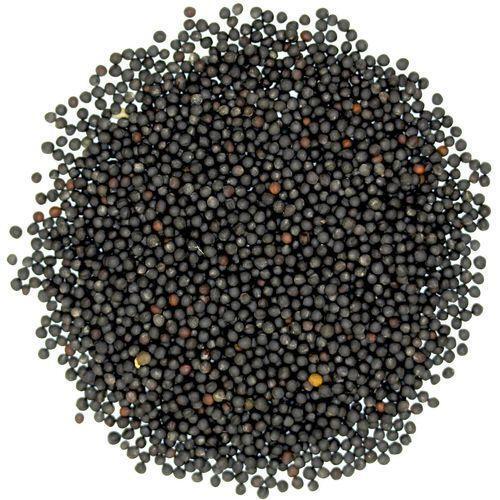 A-Grade Nutritent Enriched Healthy 100% Pure Black Mustard Seeds