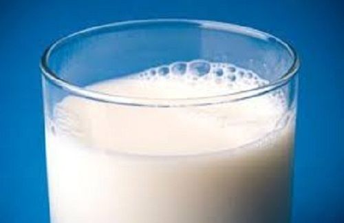 Good Sources Of Proteins And Minerals Healthy Delicious Pure Fresh Cow Milk 