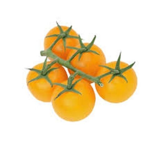 Rich Vitamin C Folate, And Potassium Natural A Grade Yellow Cherry Tomato Shelf Life: 2 Days