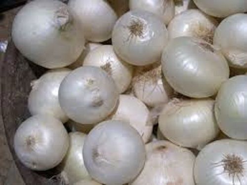 No Additives Round Shape Raw Fresh White Onions