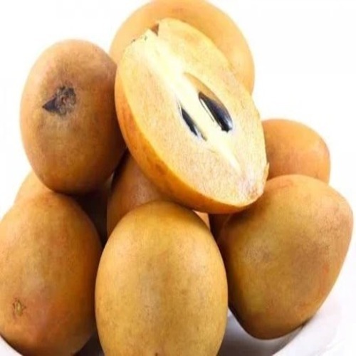 Yellow 100 Percent Natural Quality And Organically Grown Chikoo With Sweet Taste 