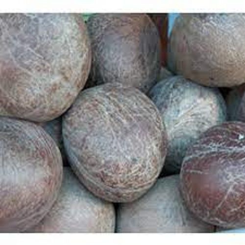 Common A Grade Nutritent Enriched 100% Pure Natural Whole Brown Dried Coconut 