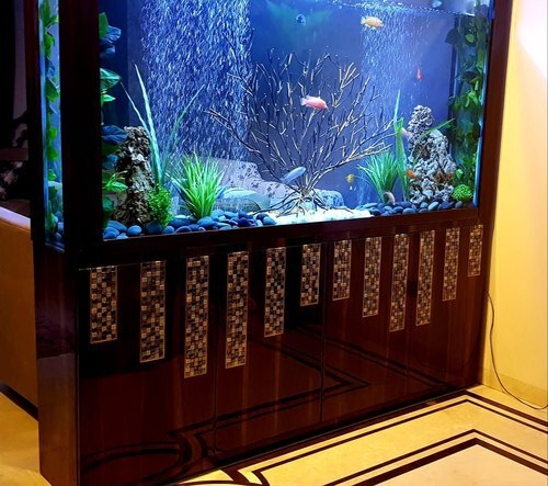 Wall Mounted Wonderful Strong Stylish Designer Transparent Glass Fish  Aquarium at 8000.00 INR in Gopalganj
