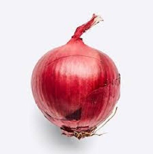 100 Percent Natural And Organically Grown Round Shape Fresh Red Onions For Cooking Moisture (%): 12%