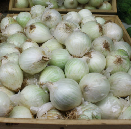 A Grade Indian Origin Naturally Grown Antioxidants And Vitamins Enriched White Onion