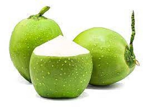 फाइबर से भरपूर सामान्य ए ग्रेड विटामिन और खनिज स्वस्थ स्वाद हरा ताजा नारियल