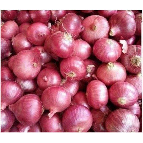 Healthy Farm Fresh Indian Origin Naturally Grown Vitamins Rich Round Shape Red Onion