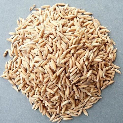 100% India Origin And Dried Raw Medium Grain Brown Pure Paddy Rice 