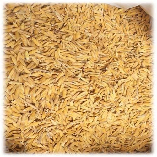 100% Indian Origin Long Grain Dried And Raw Brown Paddy Rice 