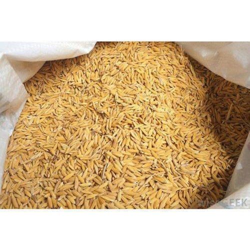 100 Percent Healthy And Pure Indian Origin Long Grain Dried Brown Paddy Rice  Crop Year: 6 Months