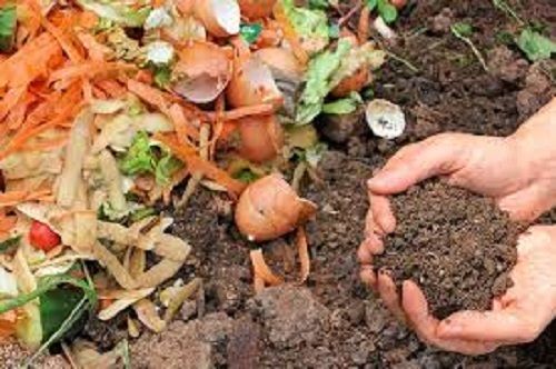Chemical Free Natural Healthy Organic Composting Culture Fertilizer For Agriculture Use