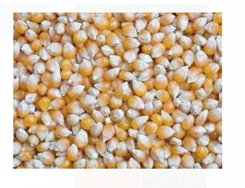 Rich In Vitamins, Fiber And Minerals 100% Pure Organic Natural Yellow Maize Admixture (%): 2%