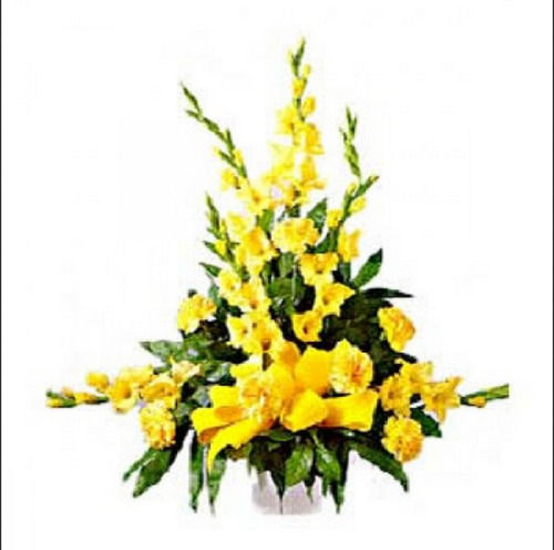  सोने के पीले कार्नेशन्स के फूलों की 100% ताज़ा प्राकृतिक टोकरी