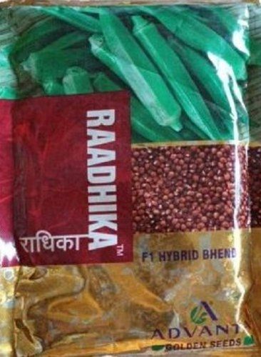 100% Pure And Natural Advanta Radhika Okra Seeds For Agriculture