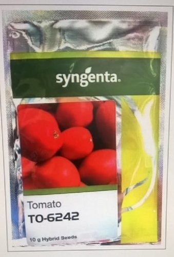 100% Pure And Natural Hybrid To-6242 Tomato Seed For Agriculture