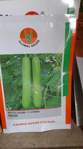 100% Pure Organic Fresh Hybrid Bottle Gourd Seeds For Agriculture