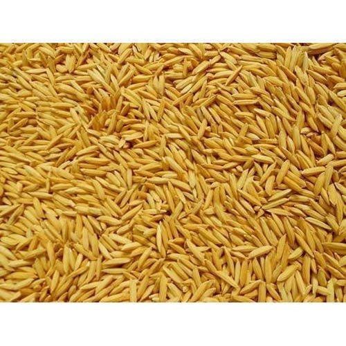 100 Percent Pure And Natural Indian Origin Long Grain Brown Paddy Rice  Crop Year: 6 Months