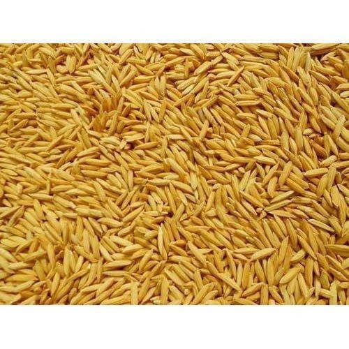  कार्बोहाइड्रेट से भरपूर 100% प्रतिशत शुद्ध और प्राकृतिक भारतीय मूल के लंबे दाने वाले भूरे धान चावल 