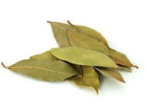 Green Commonly Used In Cooking A-Grade Premium Quality Bay Leaf 