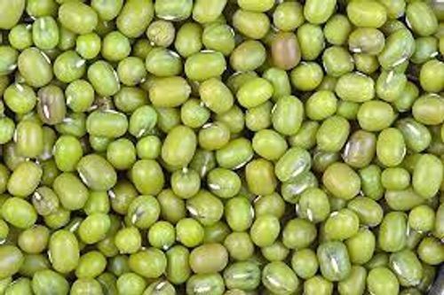  स्वस्थ प्राकृतिक भारतीय मूल के आम तौर पर उगाए जाने वाले सूखे हरे चने के बीज 
