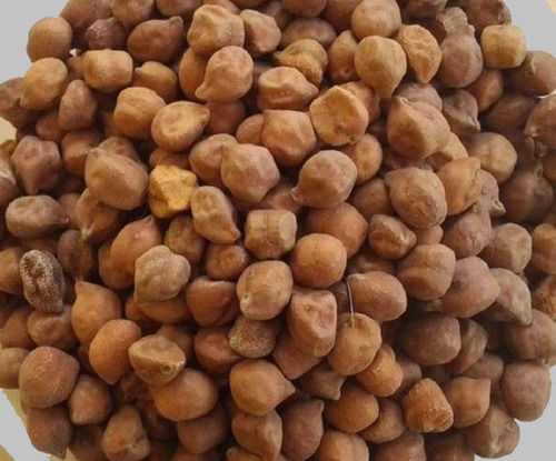 Gram Seeds High Nutrients Rich In Calcium Magnesium And Fiber Brown Chick Peas