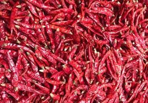 Hot And Spicy Whole Dried Fresh Red Chilli Shelf Life: 6 Months