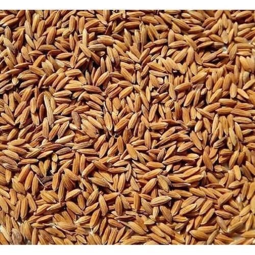 100 Percent Healthy And Natural Indian Origin Long Grain Brown Pure Paddy Rice Crop Year: 6 Months