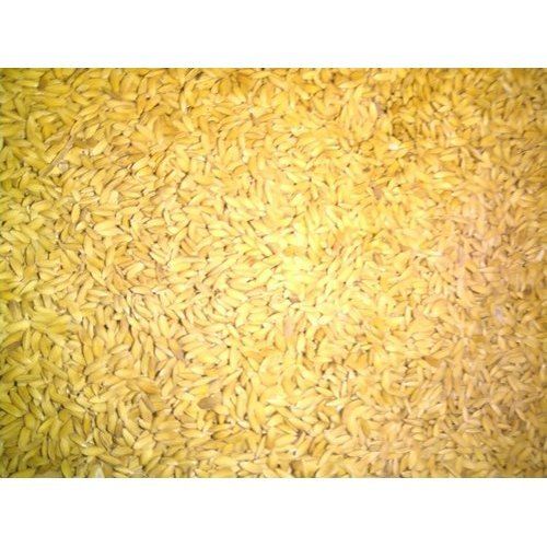 Raw Brown And Healthy Paddy Rice Crop Year: 6 Months