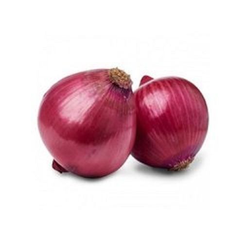 Naturally Grown 100% Pure Brown Fresh Onion