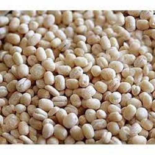 Oval Shape Healthy And High In Fiber Protein 100% Pure White Urad Dal