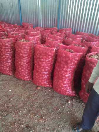 Wholesale Price Export Quality Fresh Garva Red Onion For Vegetables and Salads