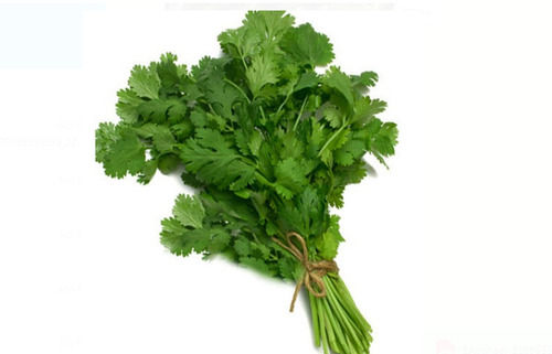 100% Pure And Natural Fresh Green Coriander With 7 Days Shelf Life For Cooking Grade: Food Grade