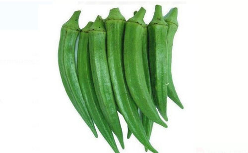 100% Pure And Natural Fresh Green Okra With 3 Days Shelf Life For Cooking