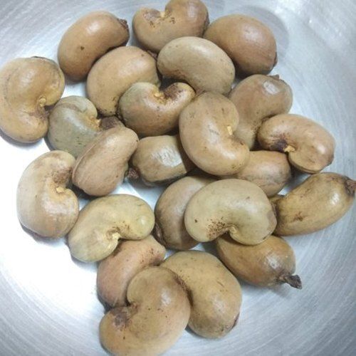 553 Calories Organic Vitamin K, White Cashews Raw Nuts Processing Type: Fresh