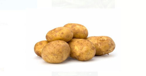 Compressed Shape 100% Pure And Natural Fresh Potatoes 10 Day Self Life For Cooking