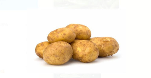 Compressed Shape 100% Pure And Natural Fresh Potatos 10 Day Self Life For Cooking