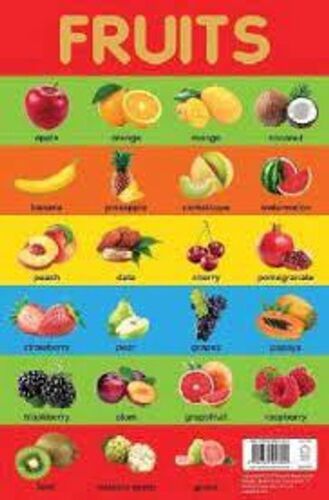 Rectangular Paper Board Learning Fruits Wall Chart Pack Of 10