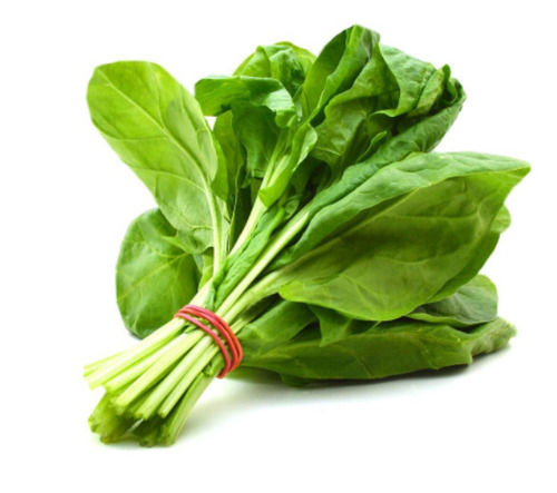 100% Fresh And Natural Green A Grade Spinach, Use For Cooking Purpose  Moisture (%): 93.41 %