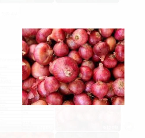 Red 100% Natural And Fresh A Grade Onion, For Cooking Purpose 